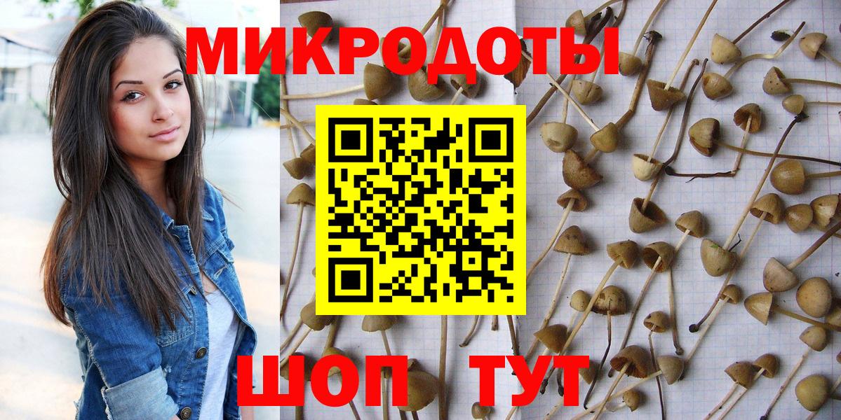 Псилоцибиновые грибы Magic Shrooms Михайловка