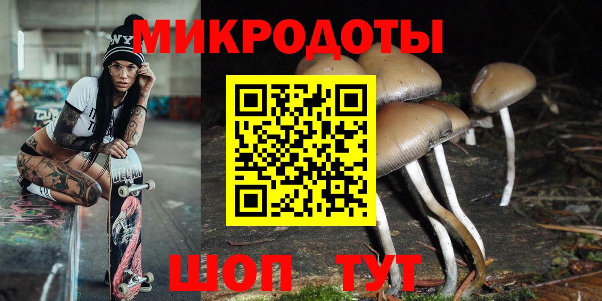 Псилоцибиновые грибы прущие грибы  Вход с VPN  Михайловка 