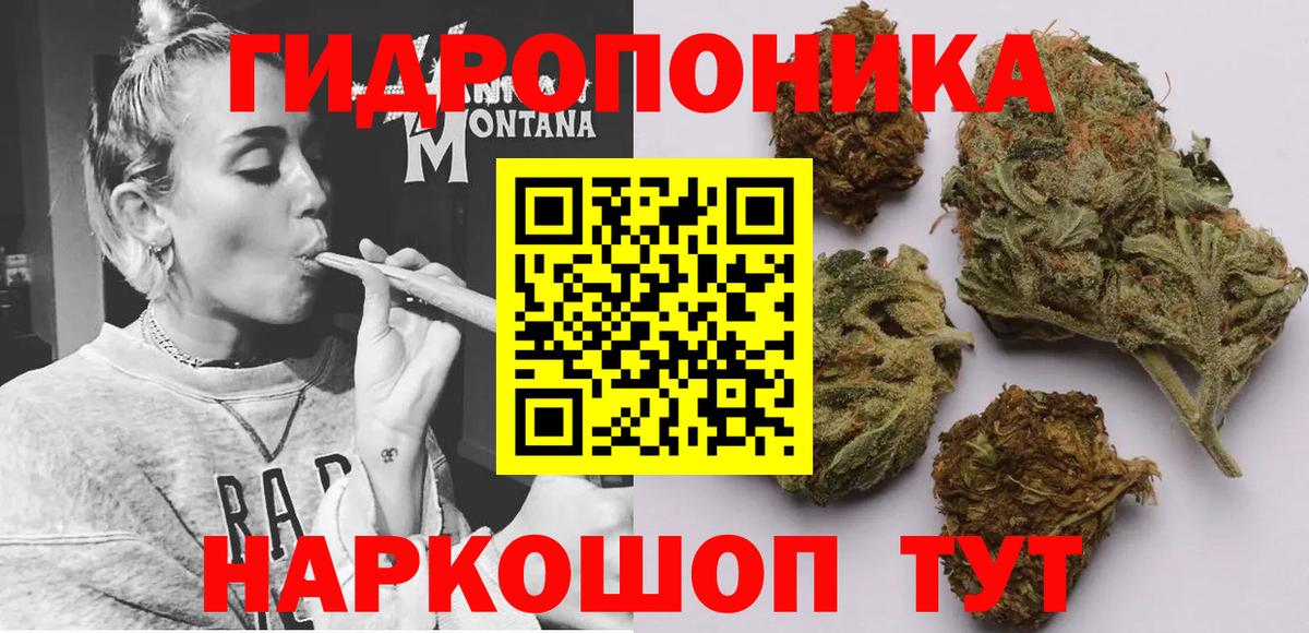 Бошки марихуана план Михайловка